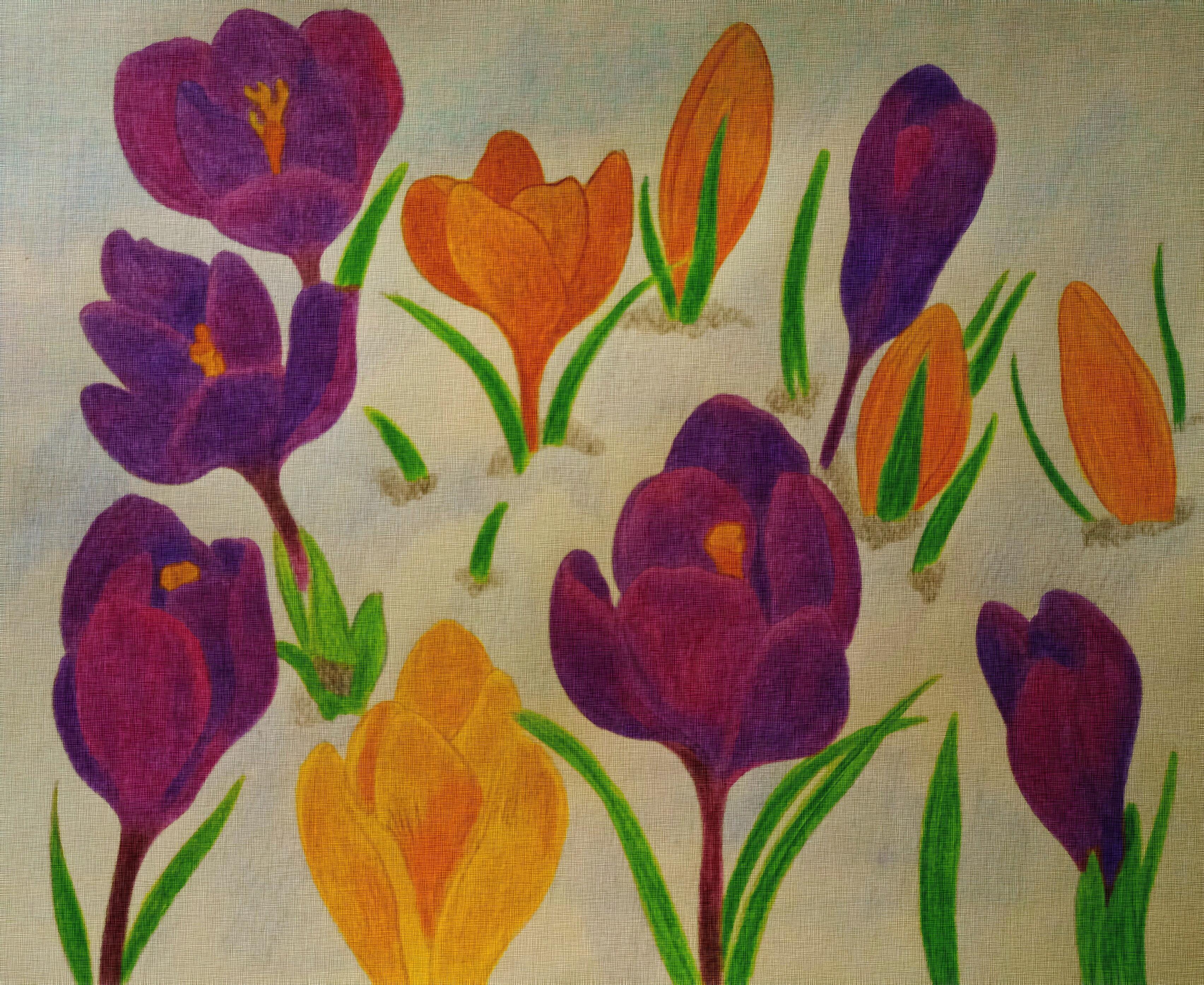 Уязвимые первоцветы