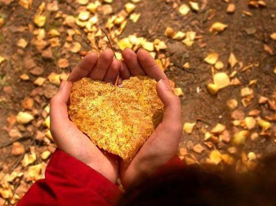 "Счастье границ не имеет" (08.09.2013)