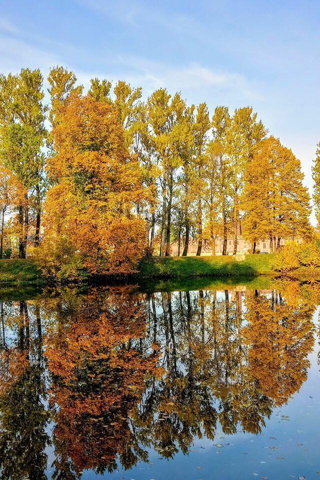 Осень, ты пойми сама...