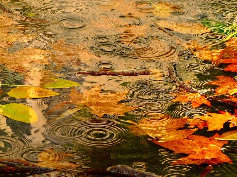 Позорная жена, как гниль в костях