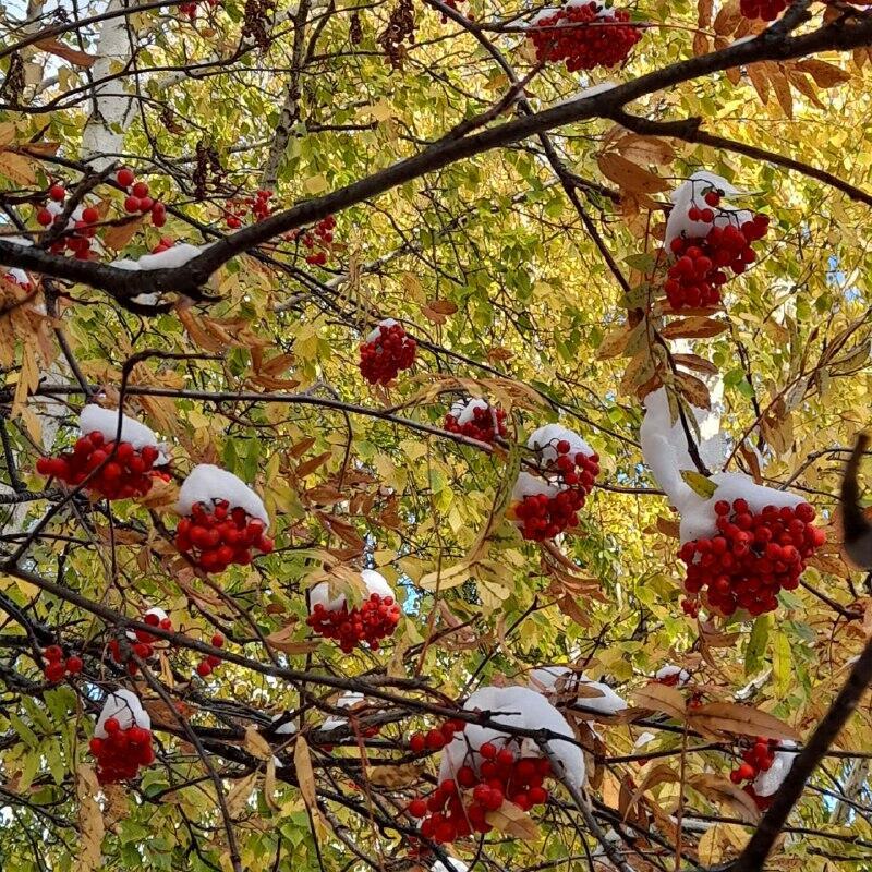 Нижневартовск