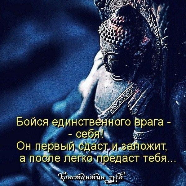 ПОСЛЕДНИЕ АФОРИЗМЫ ЯНВАРЯ...