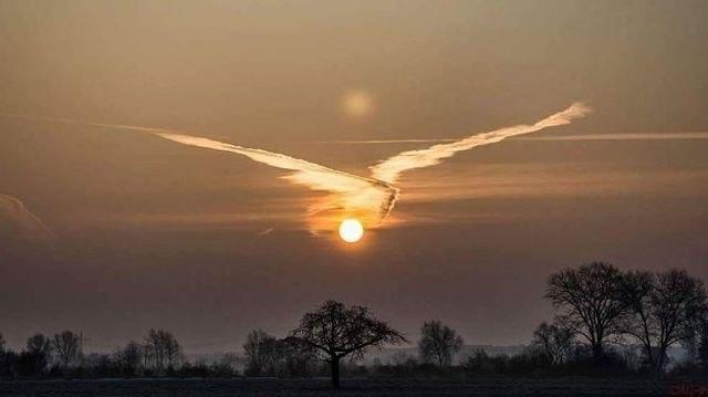 Как будто птица на закате дня