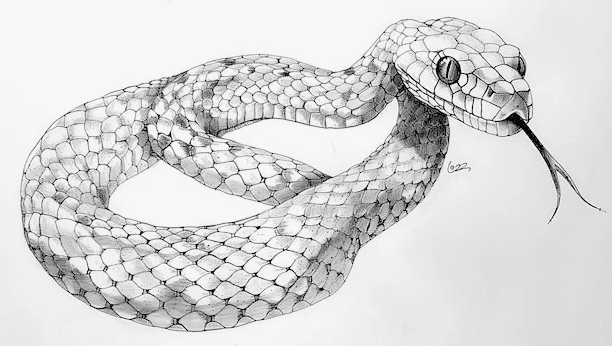 "Год как змея тянулся..." (31.12.2025)