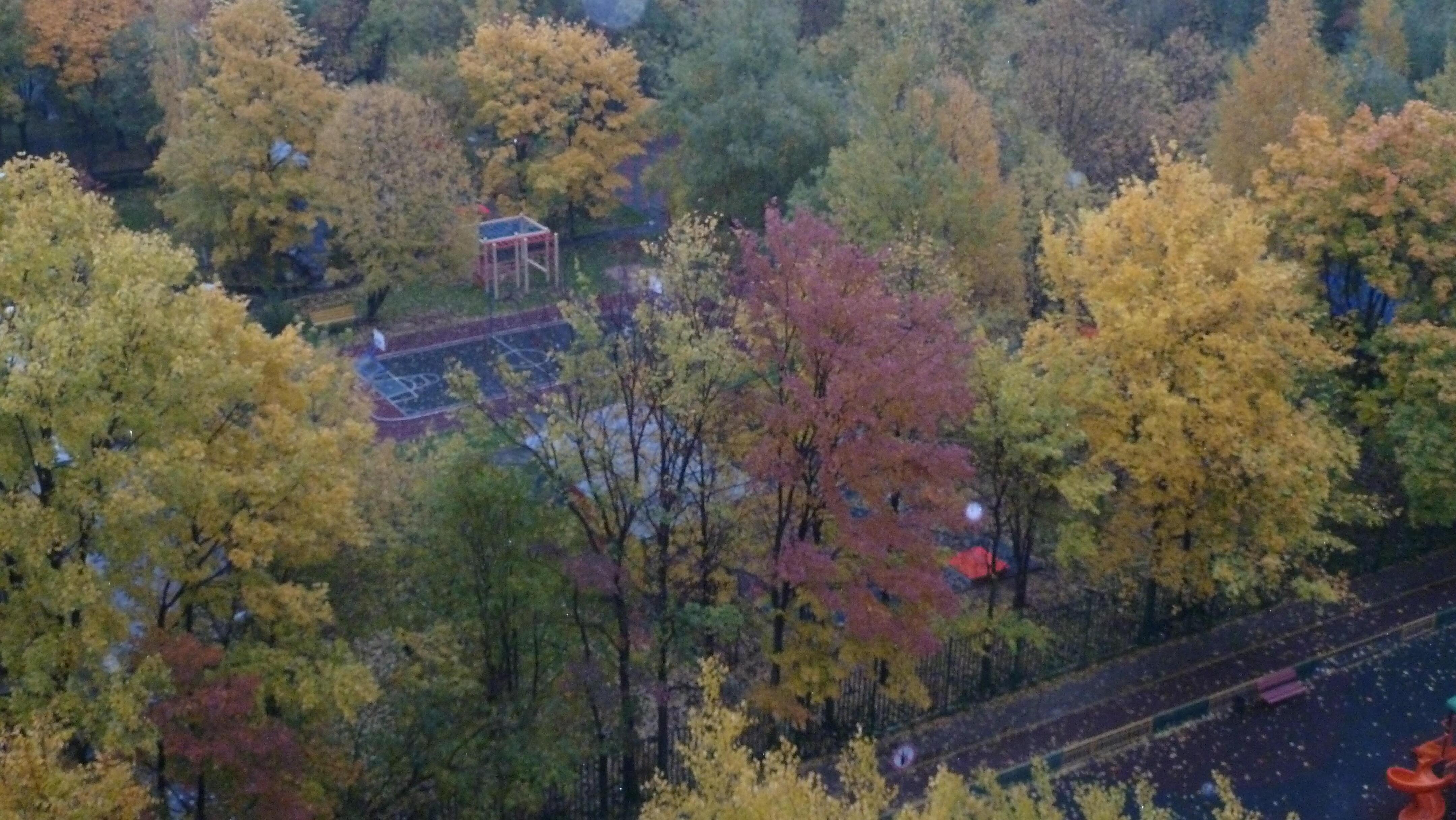 Лунной ночью любят слушать... Кудрявцев Пётр, читает Е.Корольков