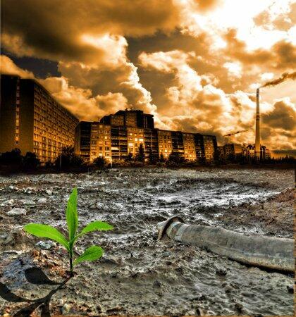 Война и мир