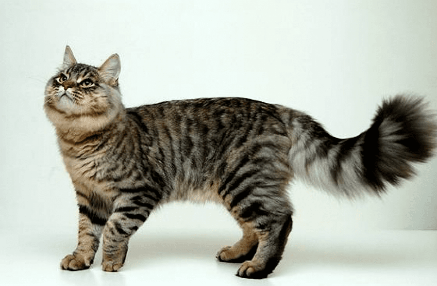 За окном капели стук