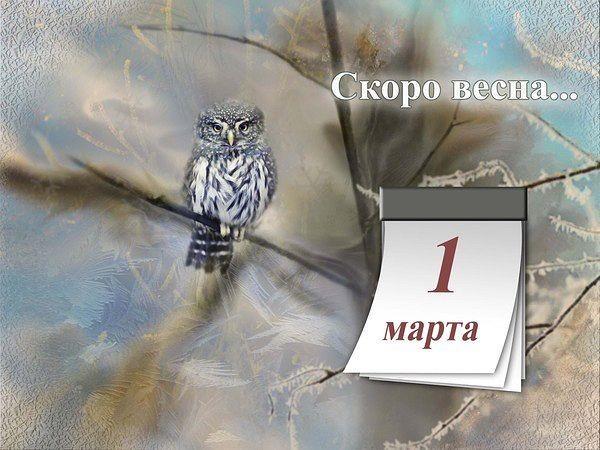 ФЕВРАЛЬ,ПРОСТИЛИСЬ МЫ С ТОБОЙ.