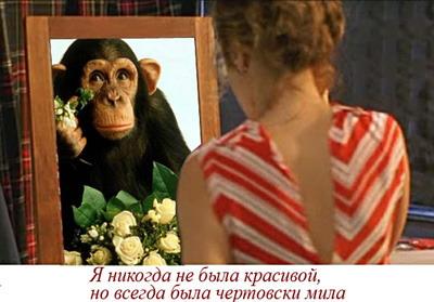 ВОЛШЕБНЫЙ КРЕМ - ( фото - приколы)