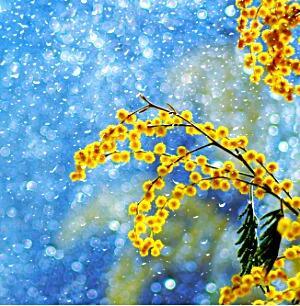 Тем и этим...