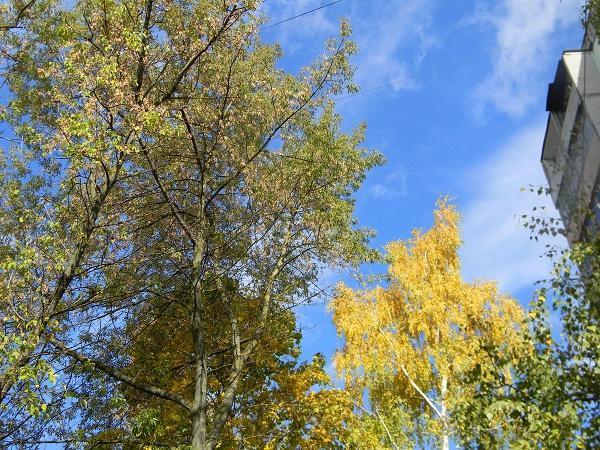 НИЧЕГО НЕ ПРОПАЛО