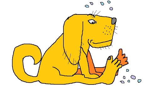 Диалог с заблудшей собакой!