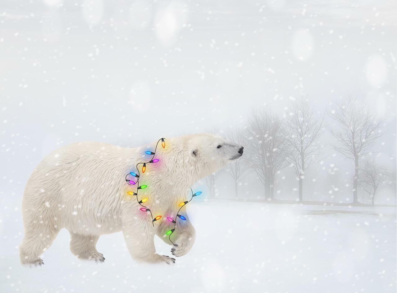 ХОЗЯИН  ЗИМЫ