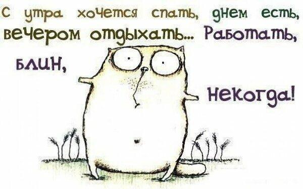 Капризный выбор