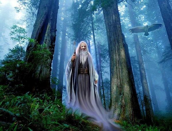 Предсказание хироманта