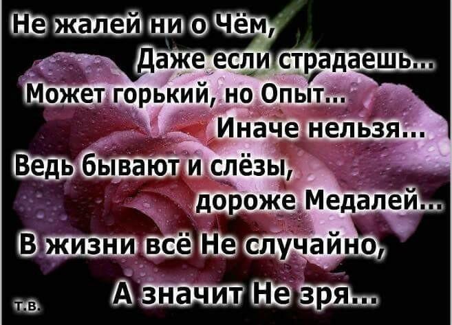 Ни о чём не жалею