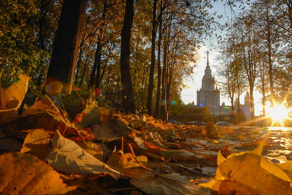 Московская Осень