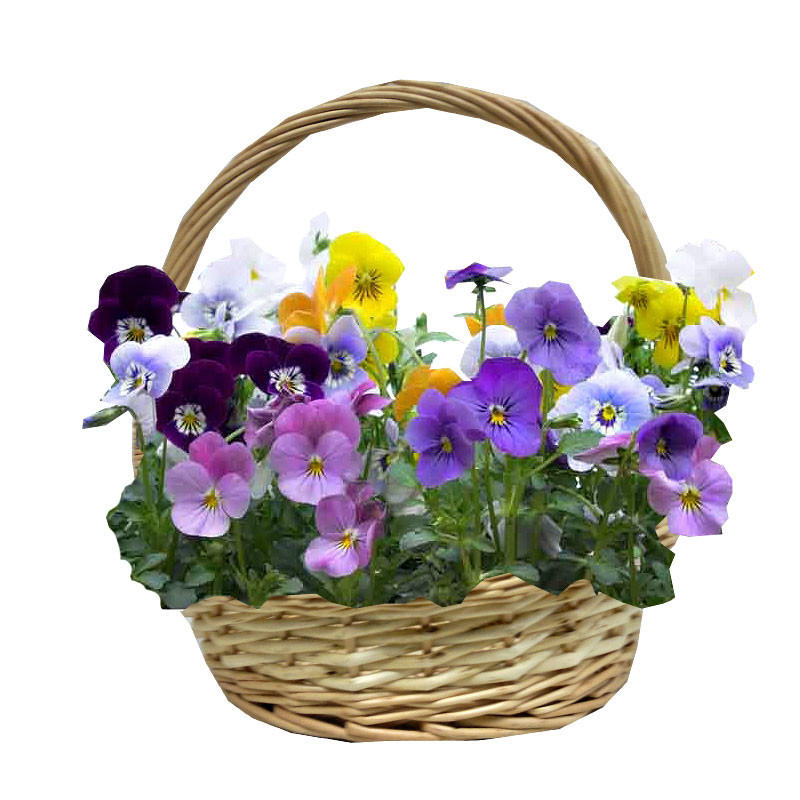 В день матери