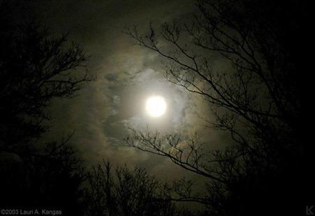 Синонимы к словосочетанию «ночная луна»