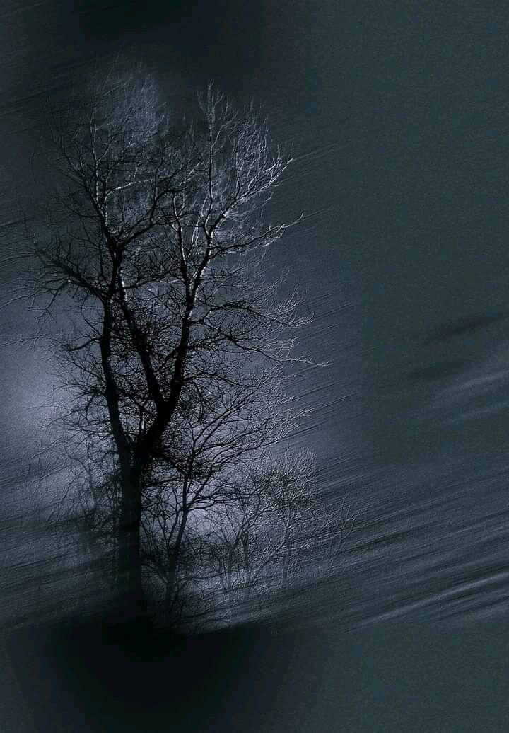 Свободные люди...