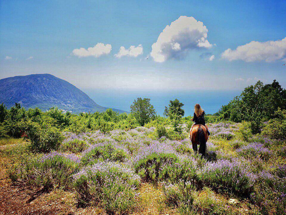 В преддверии Нового  Года...
