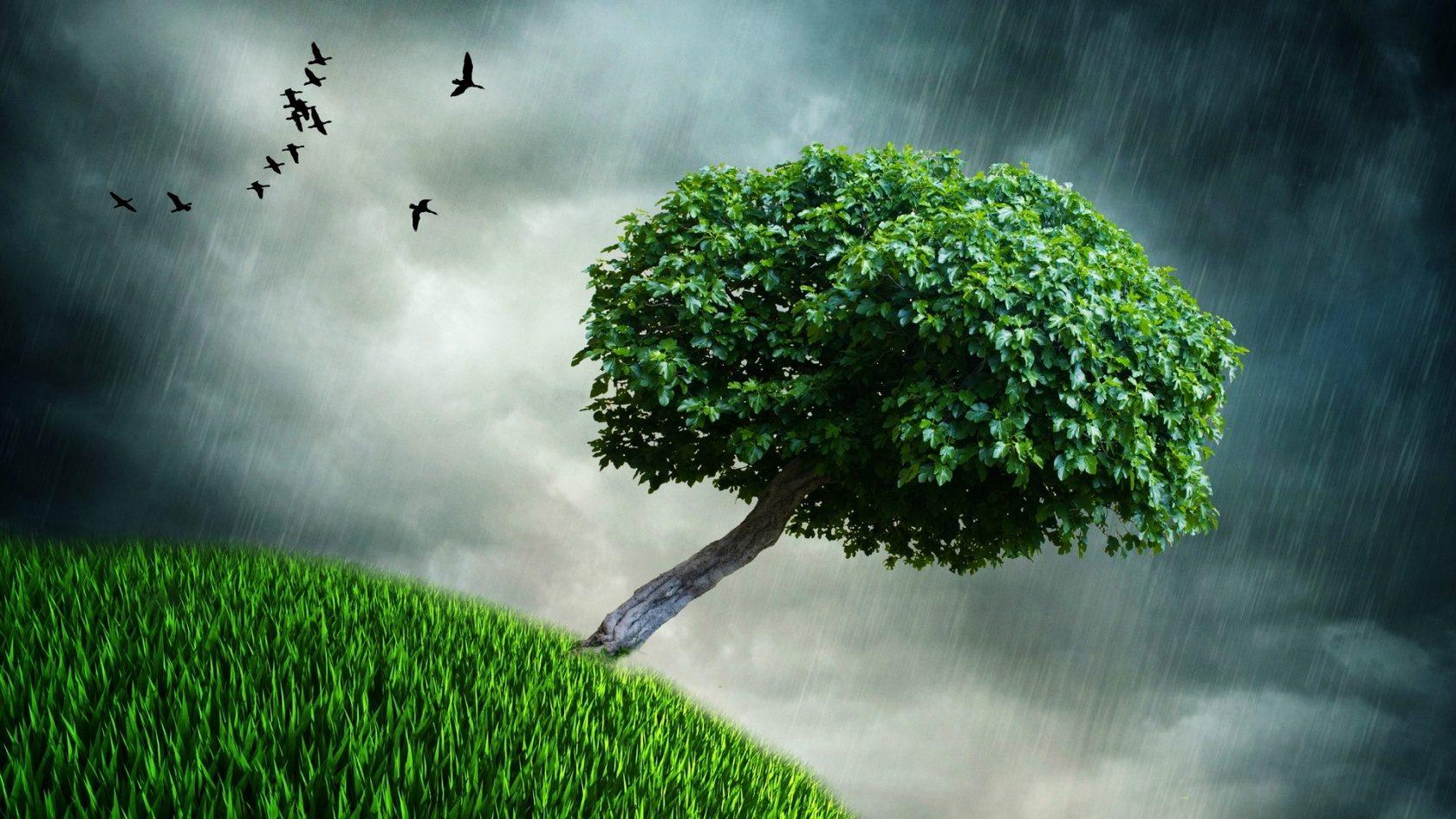 Я иду по житейской дороге