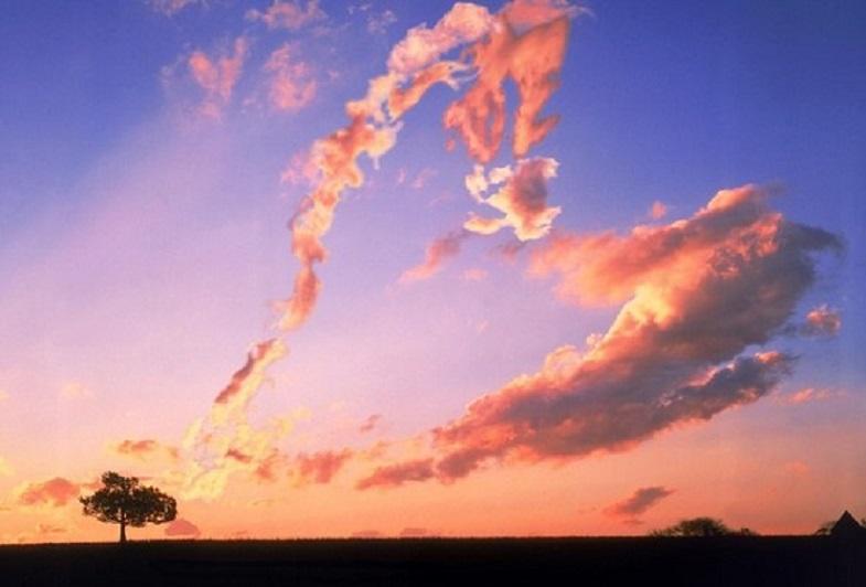 "Прочти и забудь" (21.03.2017)