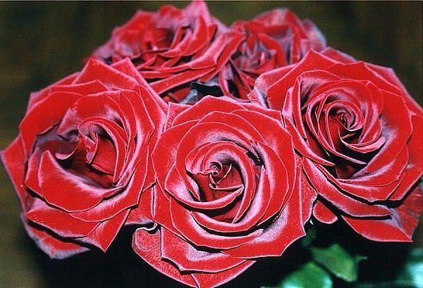 Я буду помнить...