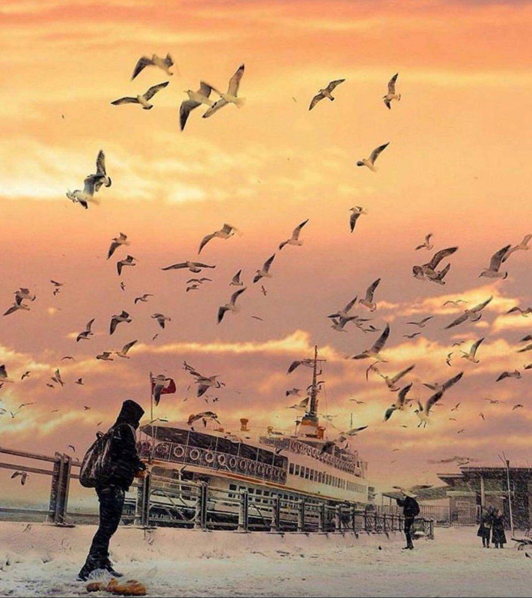 Кого навстречу завернет мне жизнь?