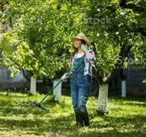 НАДОЕЛИ ЭТИ ГРАБЛИ