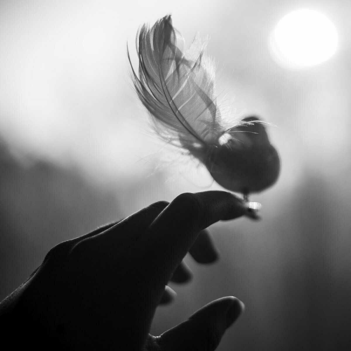 Кружатся в воздухе слова...