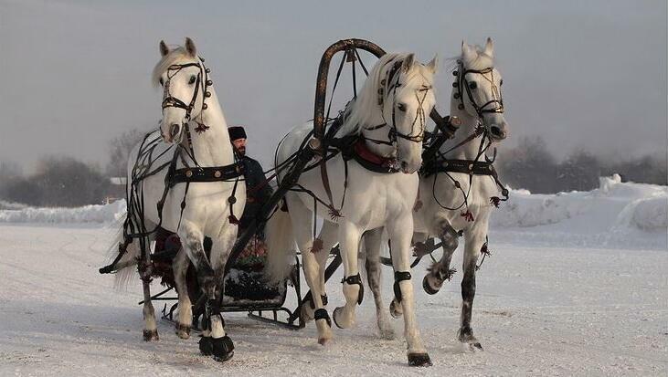 СТИХИ О РОССИИ И ЛЮБВИ