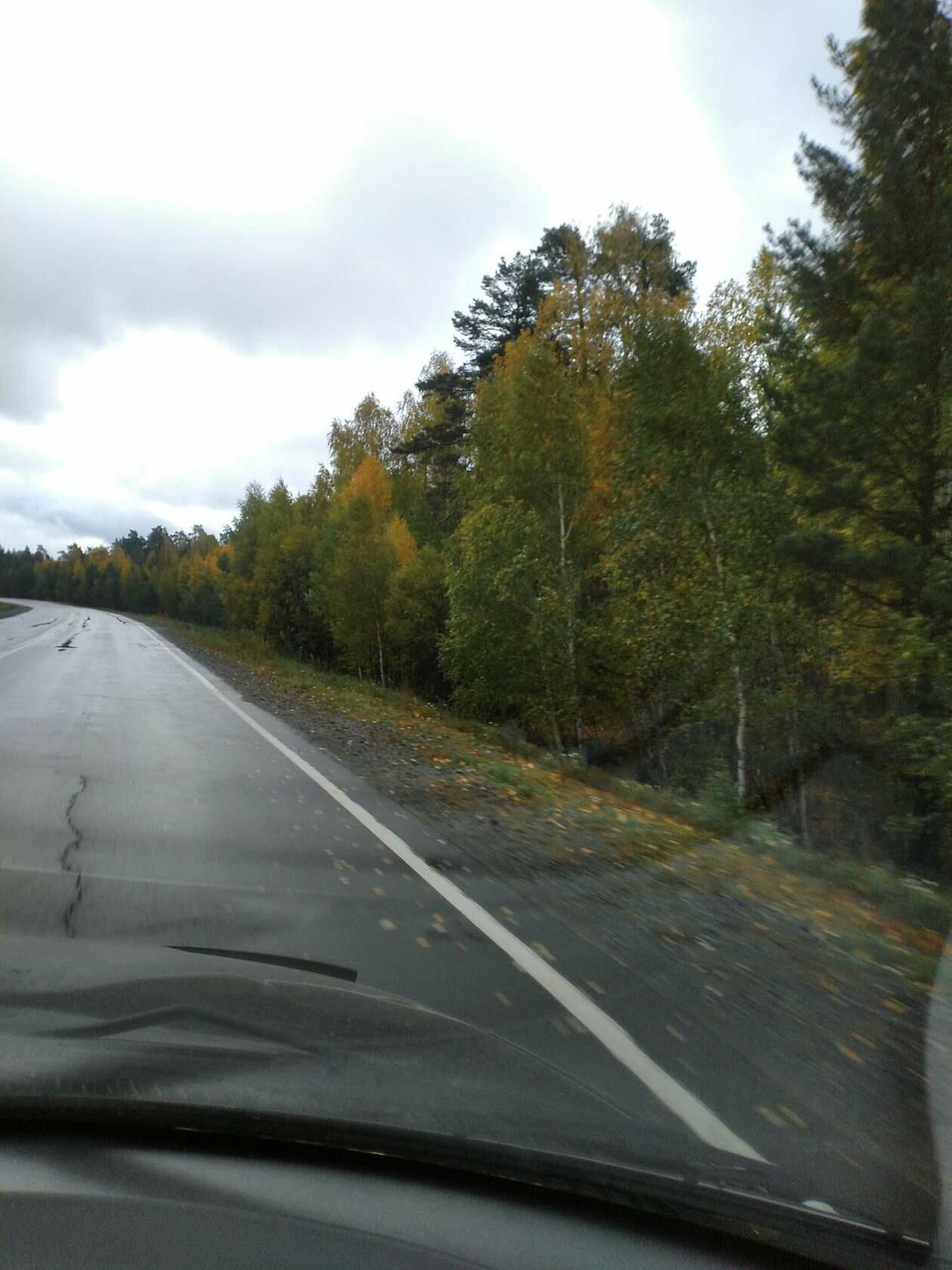 Осенняя печаль