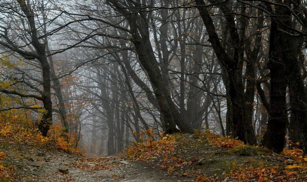 СТЫНУТ  МЫСЛИ