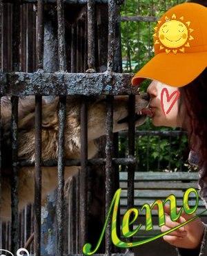 я стихи  бы \тебе  посвящала