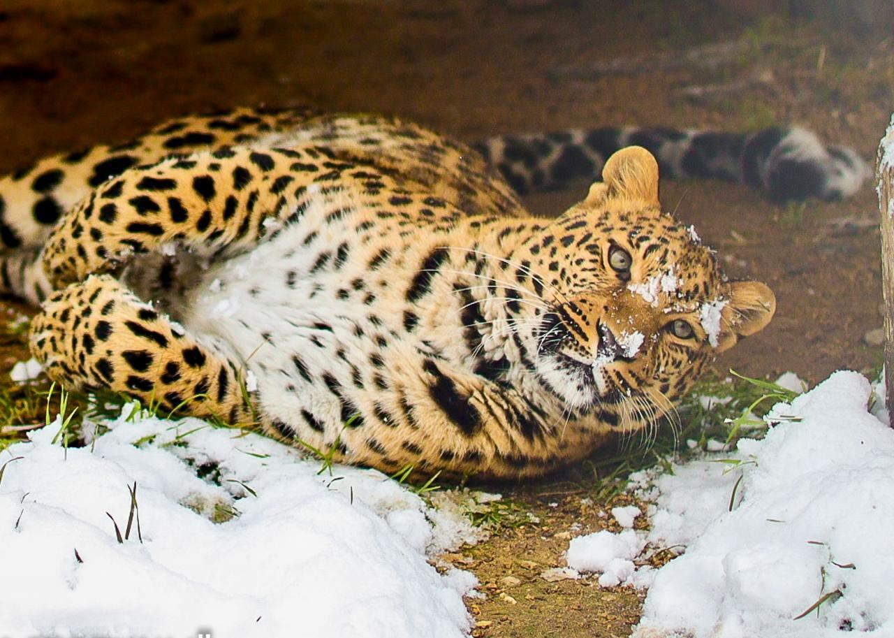 ПРО МАРКИЗУ