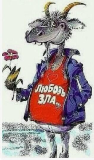 О сути и вообще