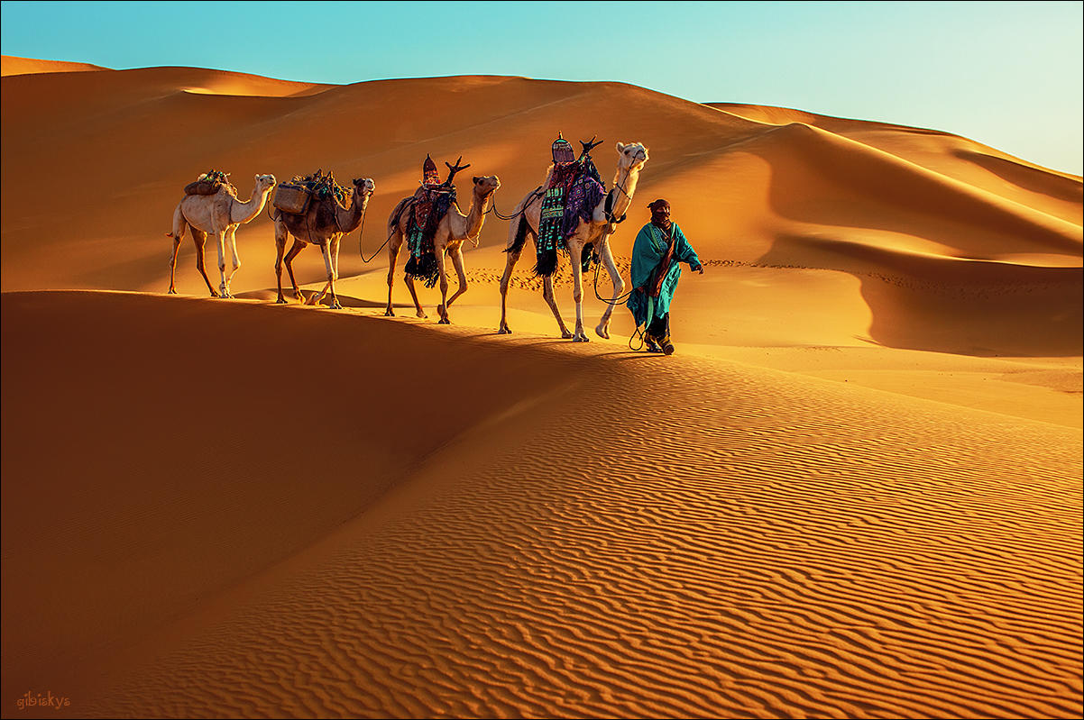 Путешествие по Сахаре на корабле пустыни *