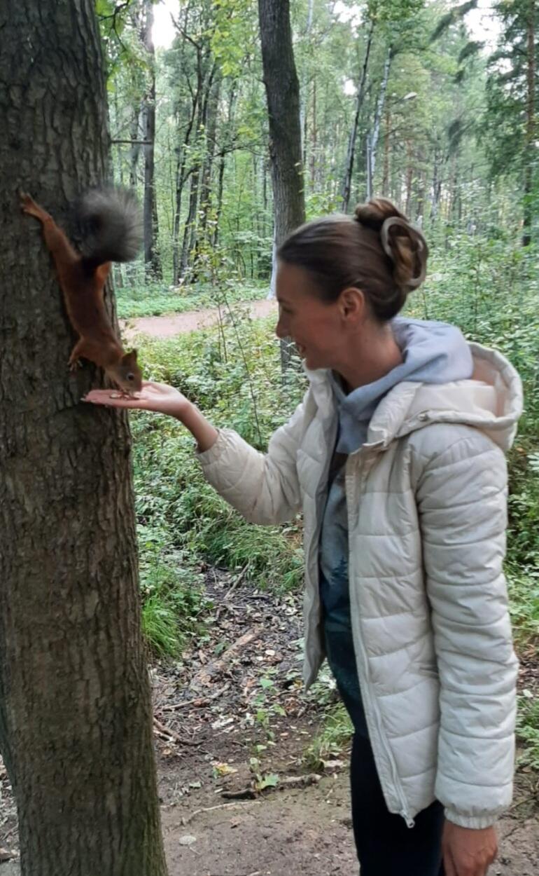 Осенний лес. Здесь солнце в ветвях.