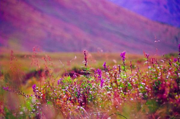 Вершины Духа