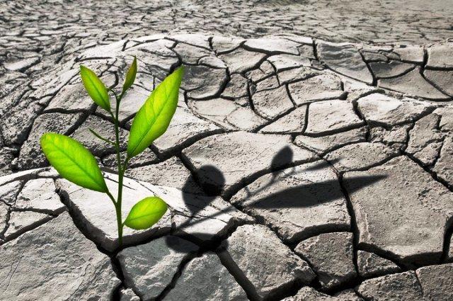 Стремление к жизни