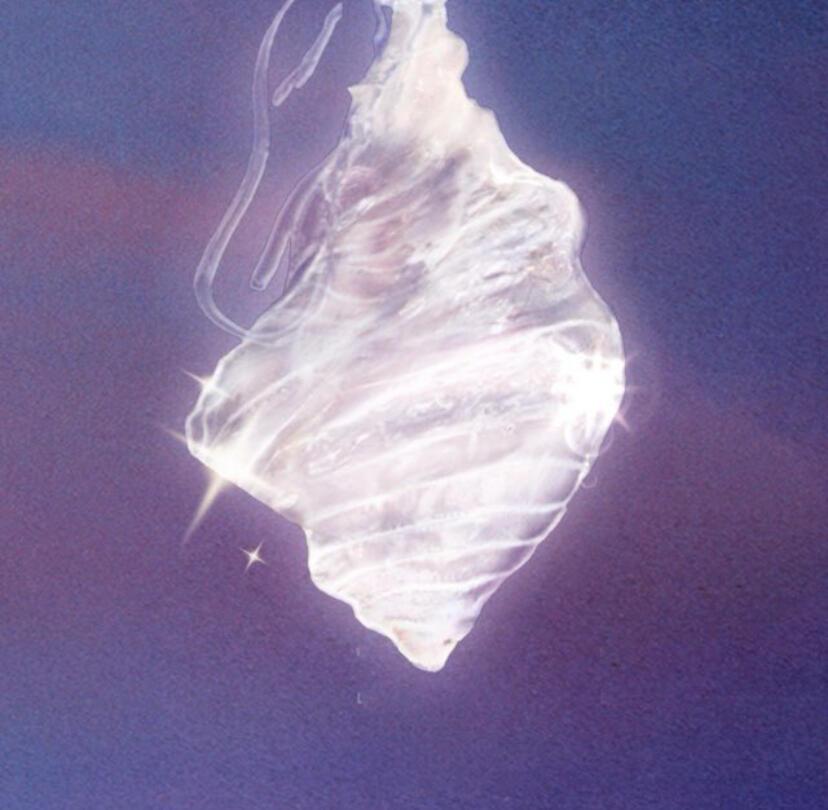 Сонет “Бабочка”