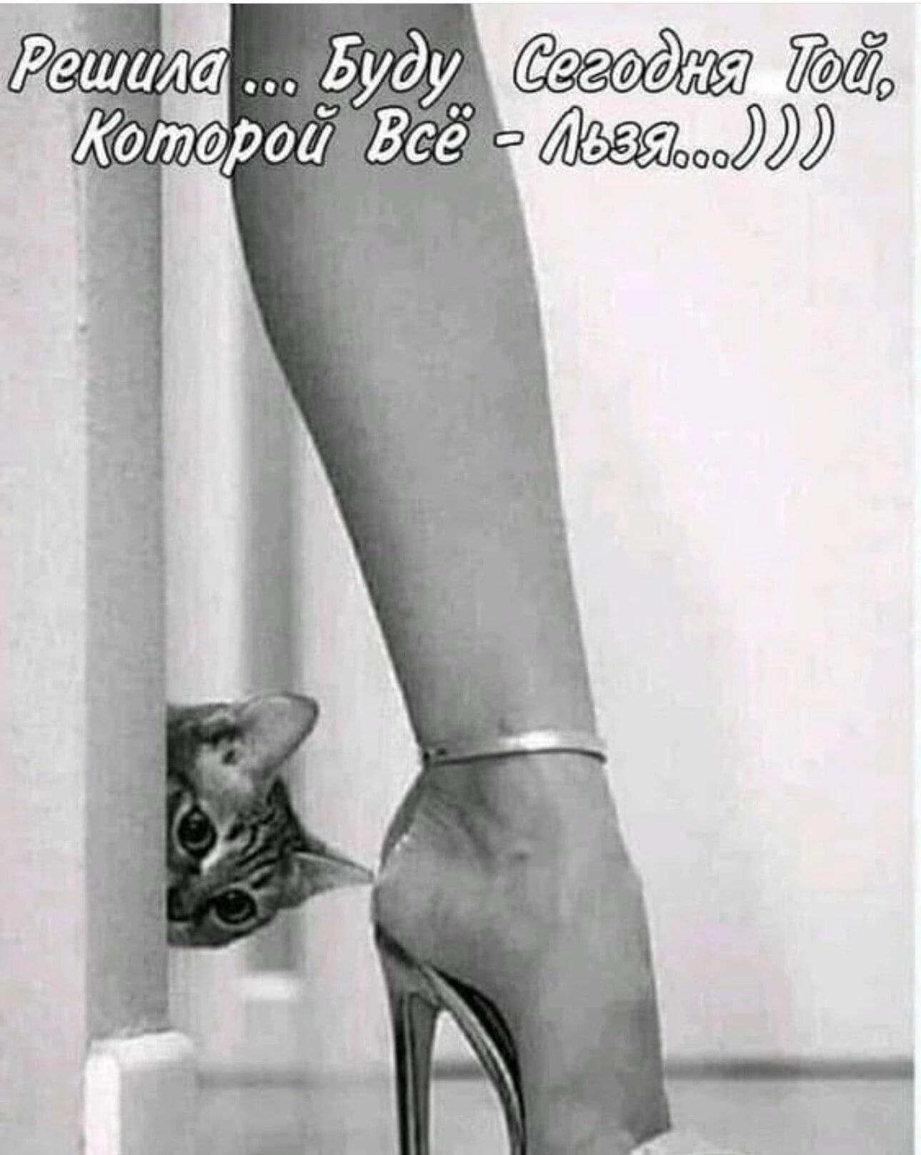 Пусть будет день