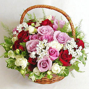 Размышления вслух про нашу жизнь