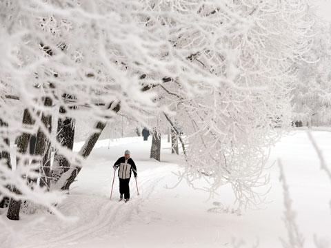 Свидание с зимой