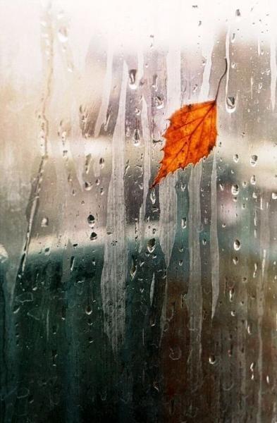 Ноябрь. Немного болезненное.