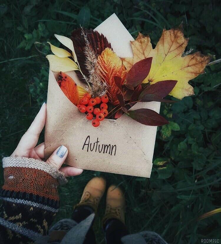 Письмо от Сентября