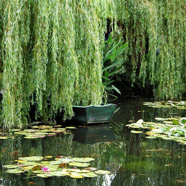 Фантазия на балладу Людвига Бехрейна