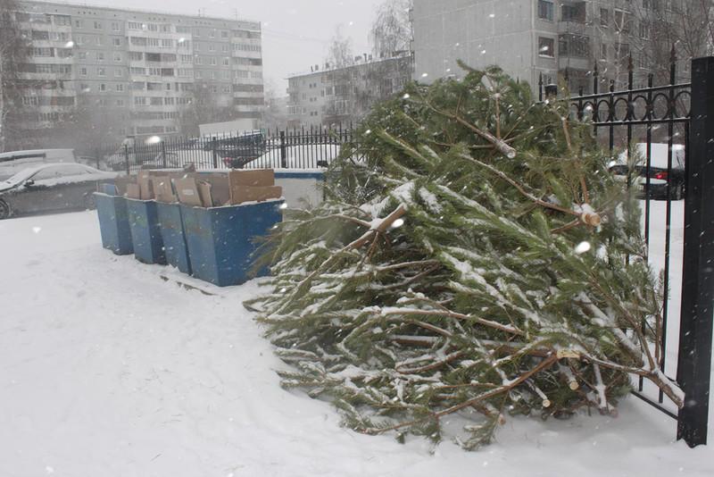 Вы оголили душу мне