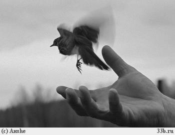 Лист последний